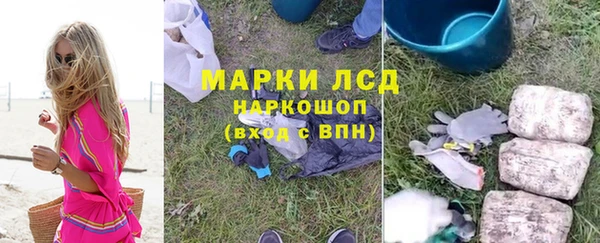 соль ск Кулебаки